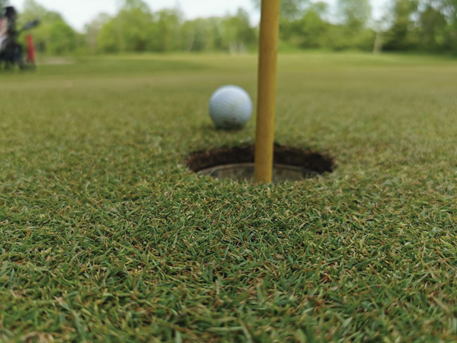 Ottawa councillor wants city to look into acquisition of Kanata Lakes Golf Club