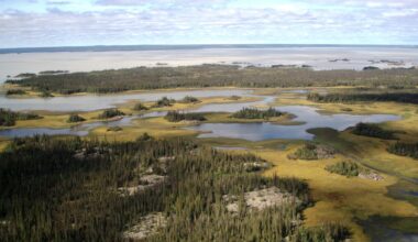 The links between Alberta water decisions and NWT water levels