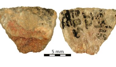 Oldest known poison arrows were used to hunt animals 60,000 years ago - CTV News