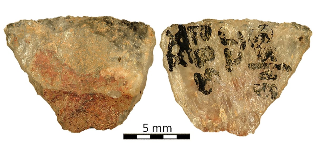 Oldest known poison arrows were used to hunt animals 60,000 years ago - CTV News