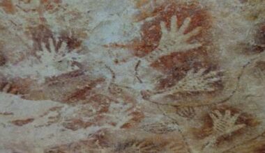 Killer Whale Gang Develops New Language to Terrorize Ships - The Daily Beast