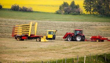Canada-China trade deal offers relief to Manitoba farmers