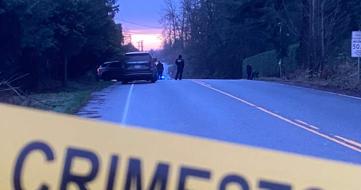 Langley home shot at in extortion-related incident, police believe - BC