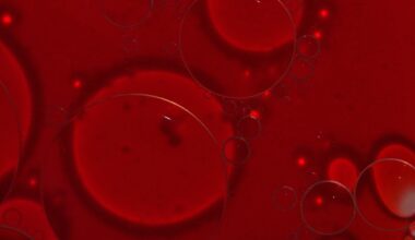 Small shifts in blood sodium may influence human brain excitability