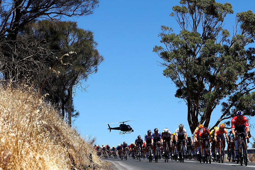 The peloton on stage 1 of the men's Santos Tour Down Under 2026