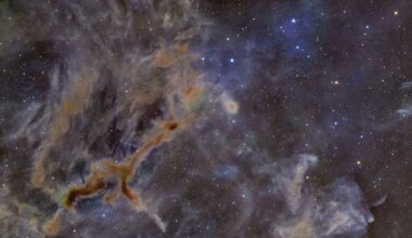 Dark knots of interstellar dust are pictured blocking the light of more distant stars in a deep-space image. A knot of material to the lower left appears to take the form of a giraffe running left to right against the starfield beyond.