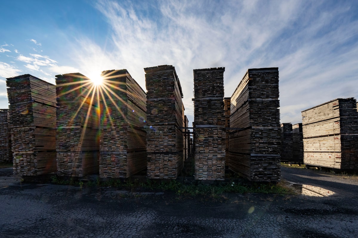 Nova Scotia denies accusations of undermining Canada in softwood lumber dispute with U.S.