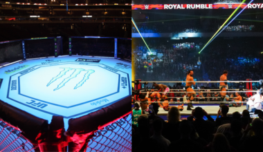 UFC Octagon and WWE Ring
