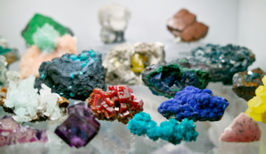 What are the Lessons for Canada?