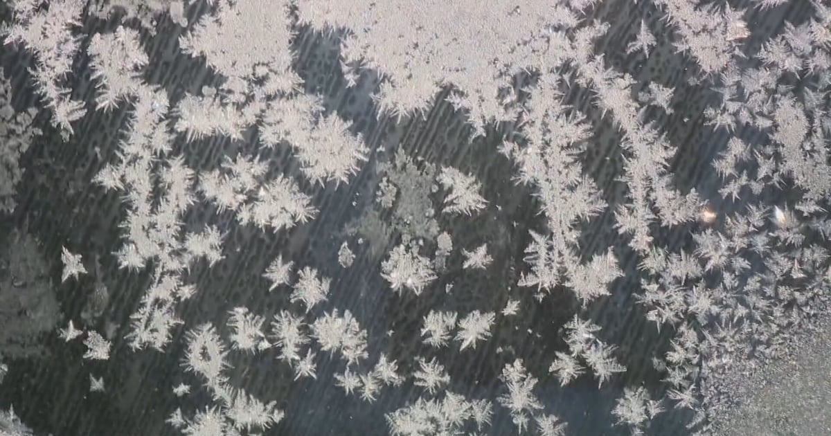 Here’s where to go in NDG and Côte Saint-Luc to stay warm during the power outage - CTV News