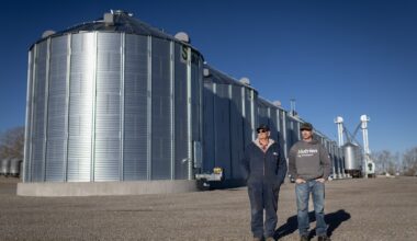 Deal with China offers Alberta canola farmers relief, but sparks concern in Ontario’s auto sector