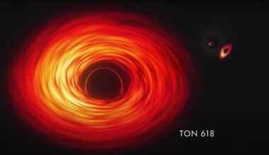 James Webb Space Telescope reveals new origin story for the universe's 1st supermassive black holes