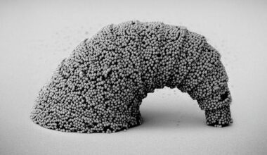 SEM images of a dangling croissant-shaped microstructure with a 3D curved surface assembled from SiO2 particles. Credit © MPI-IS