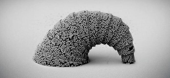 SEM images of a dangling croissant-shaped microstructure with a 3D curved surface assembled from SiO2 particles. Credit © MPI-IS