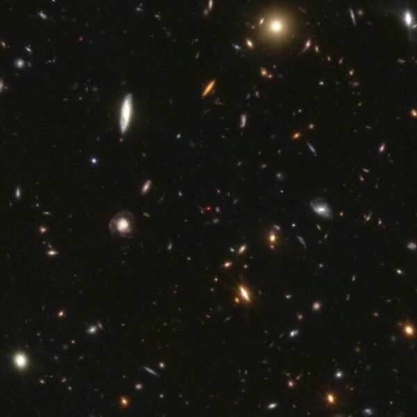 Little red dots were found in multiple images from the JWST.