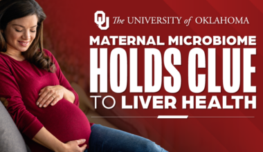Maternal Microbiome Compound May Hold Key to Preventing Liver Disease