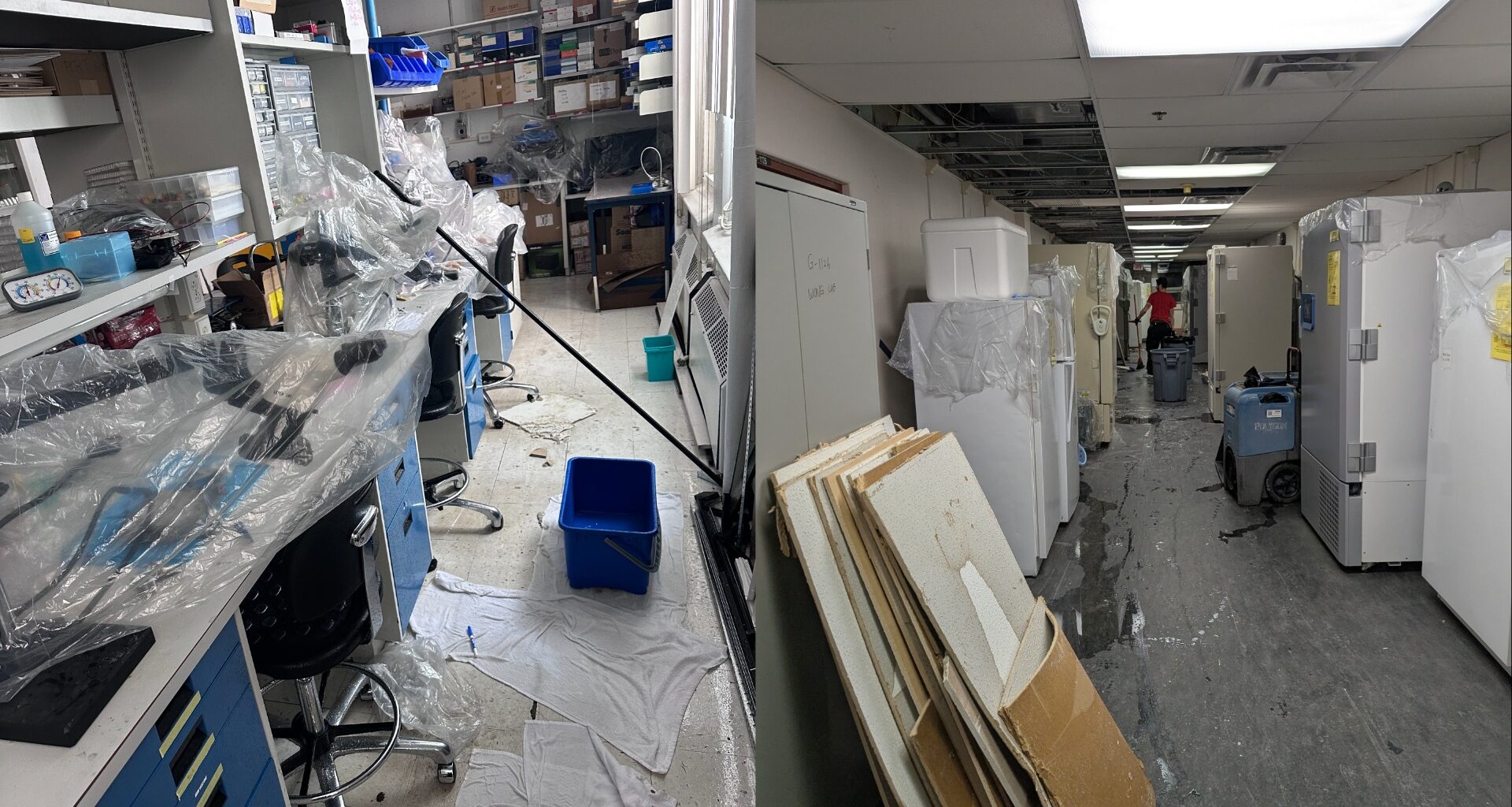 Burst pipes flood Montreal's Douglas Hospital labs, destroying years of research