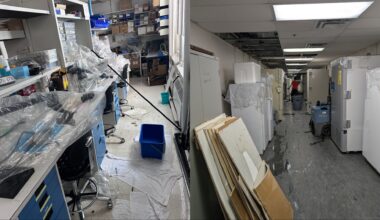 Burst pipes flood Montreal's Douglas Hospital labs, destroying years of research