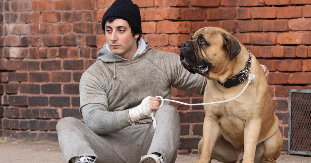 I Play Rocky Sets Release Date for Biopic on Sylvester Stallone Boxing Film