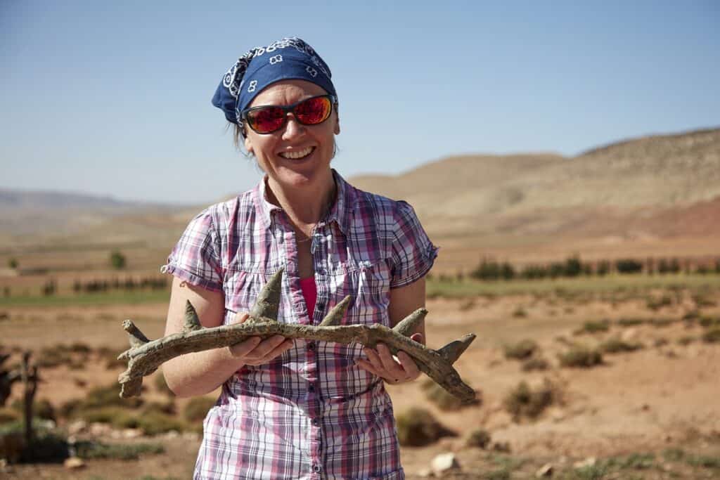 Researcher holding a portion of spicomellus fossil