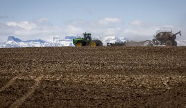 Agriculture and Agri-Food Canada announces closure of research operations, jobs cuts - CTV News