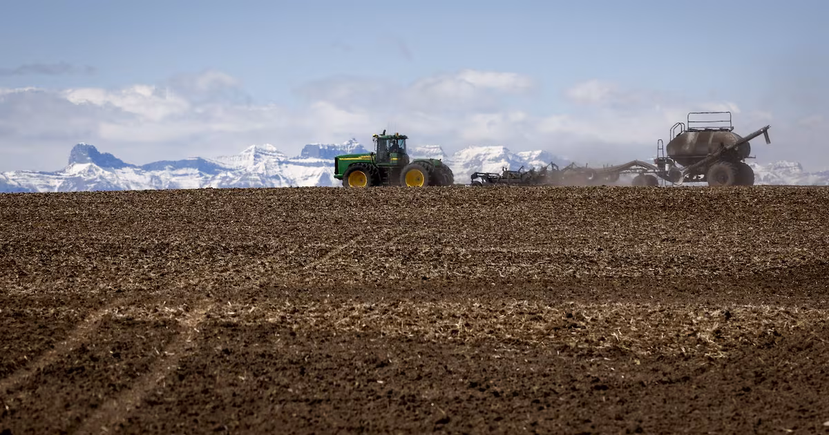 Agriculture and Agri-Food Canada announces closure of research operations, jobs cuts - CTV News