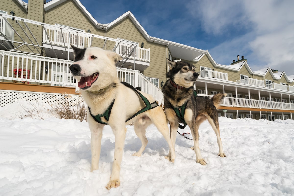 This rustic lodge two hours from Montreal is the place for true Quebec winter fun
