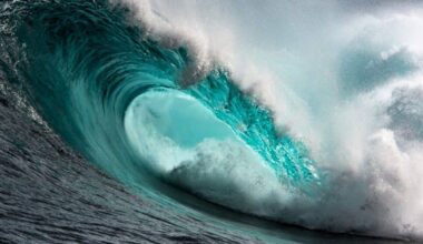 One Of The Ocean’s Most Reliable Systems Collapsed This Year