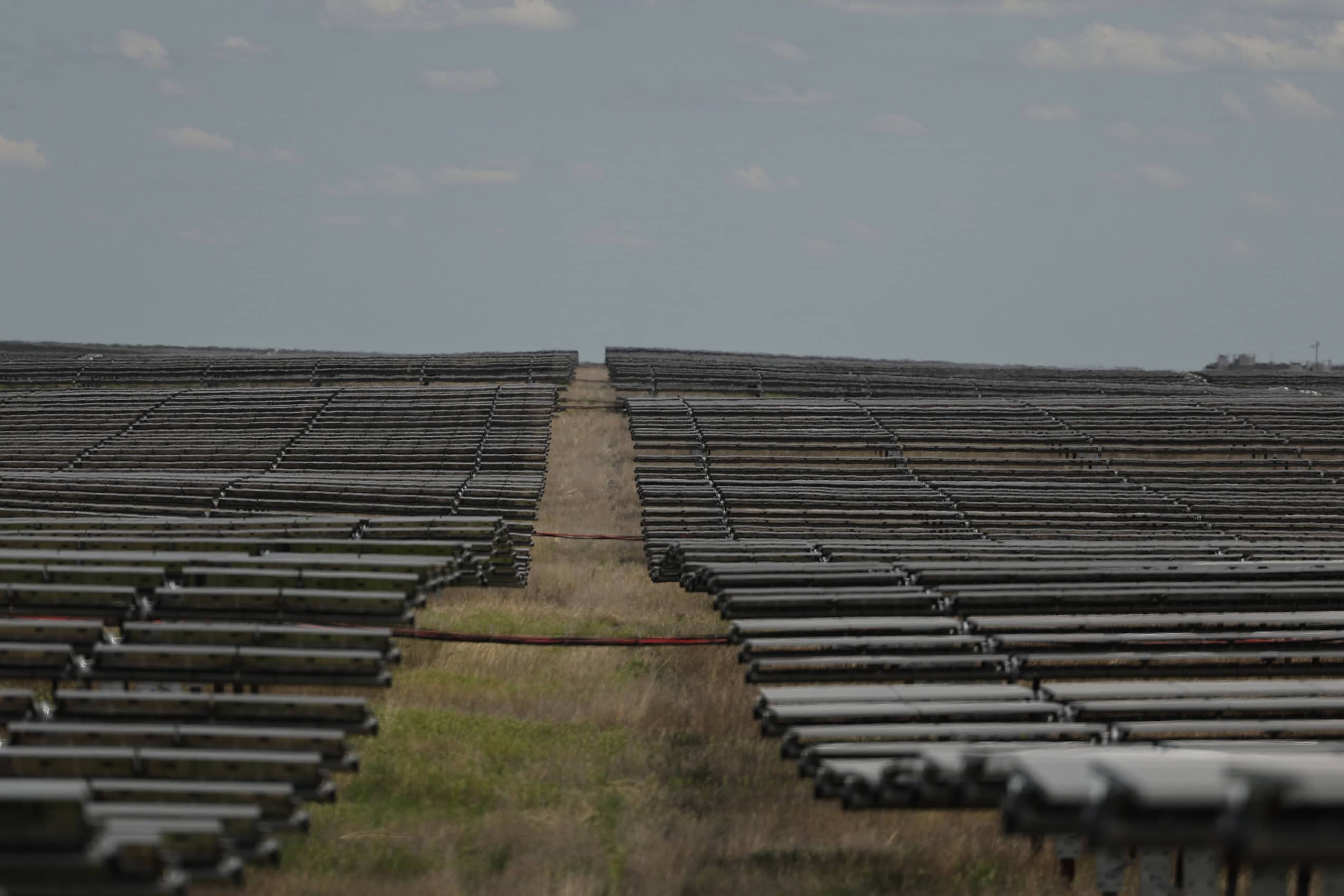 An array of solar panels soaks up the sun in rural Alberta.