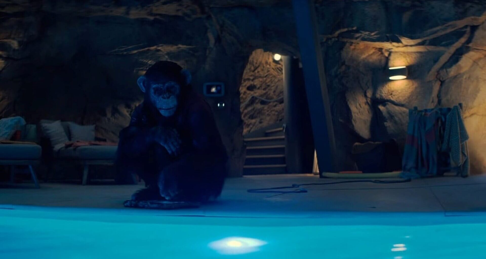 A killer chimp goes satisfyingly ape