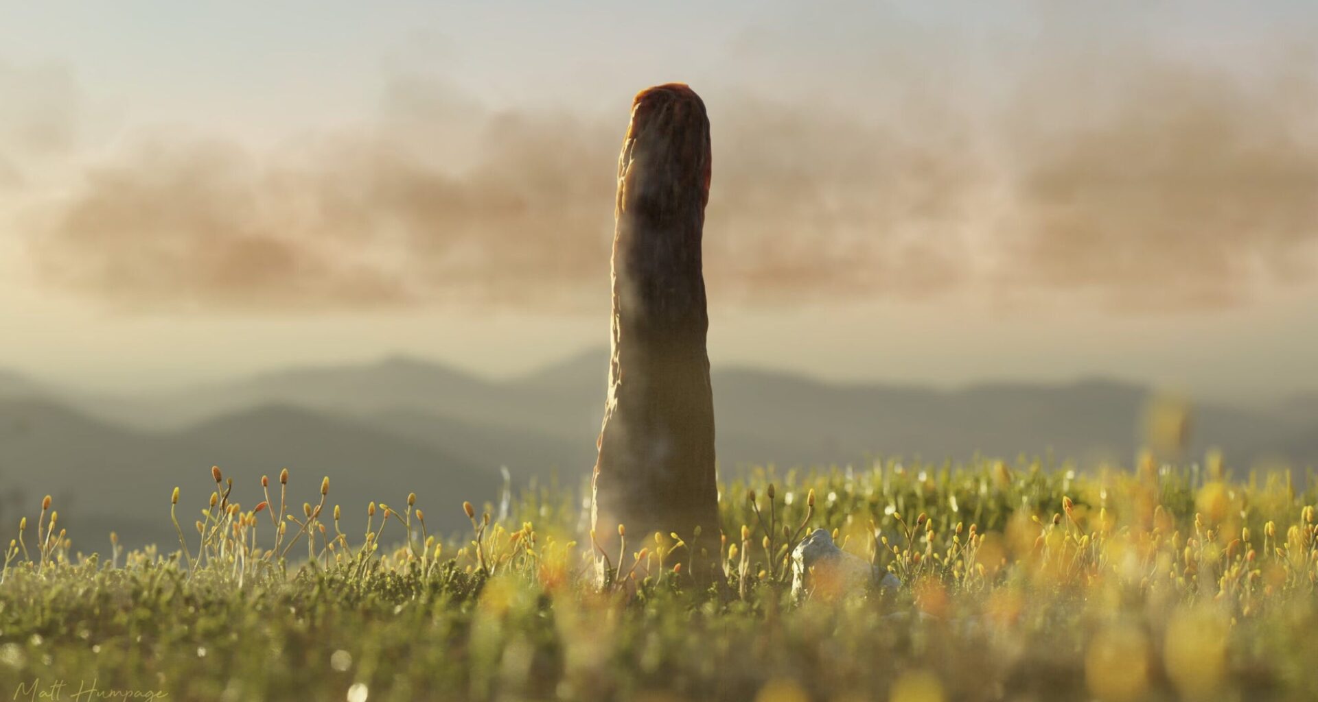 Giant Prototaxites fossil reveals an extinct branch of complex life on Earth