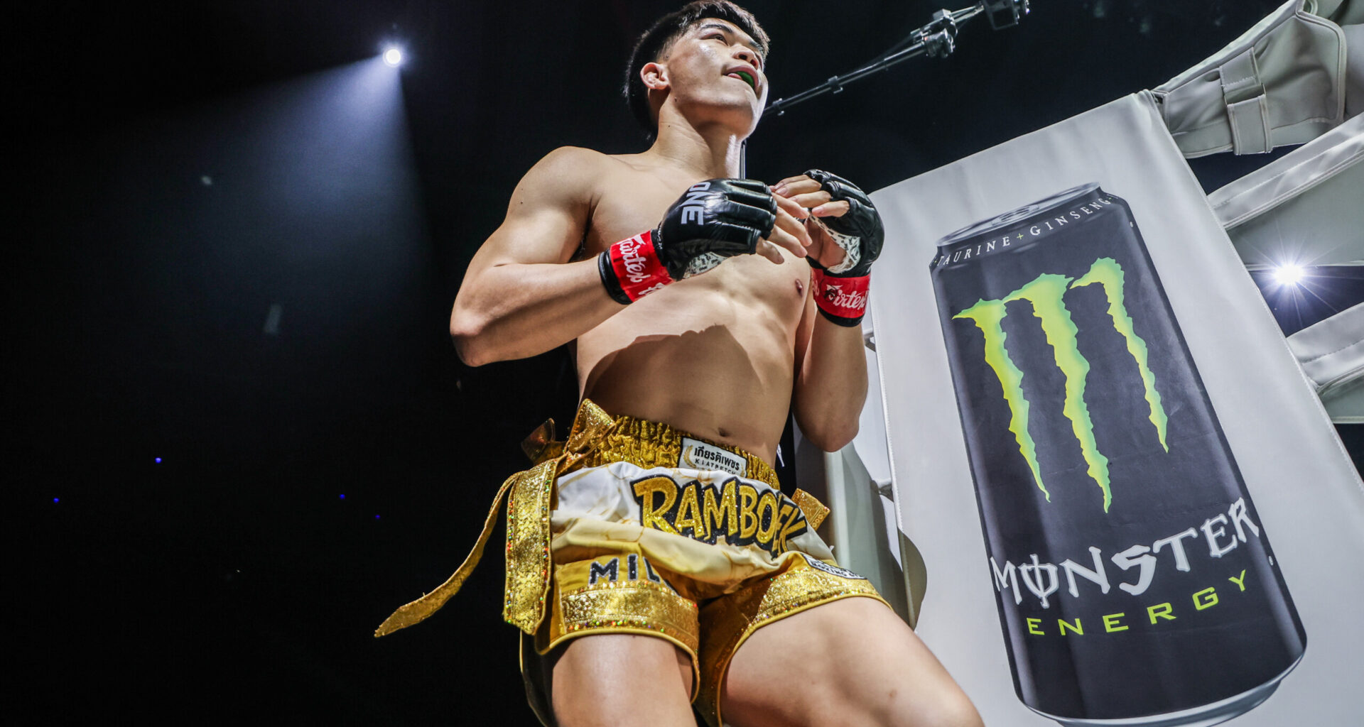 Rambolek DmitriiKovtun 2027