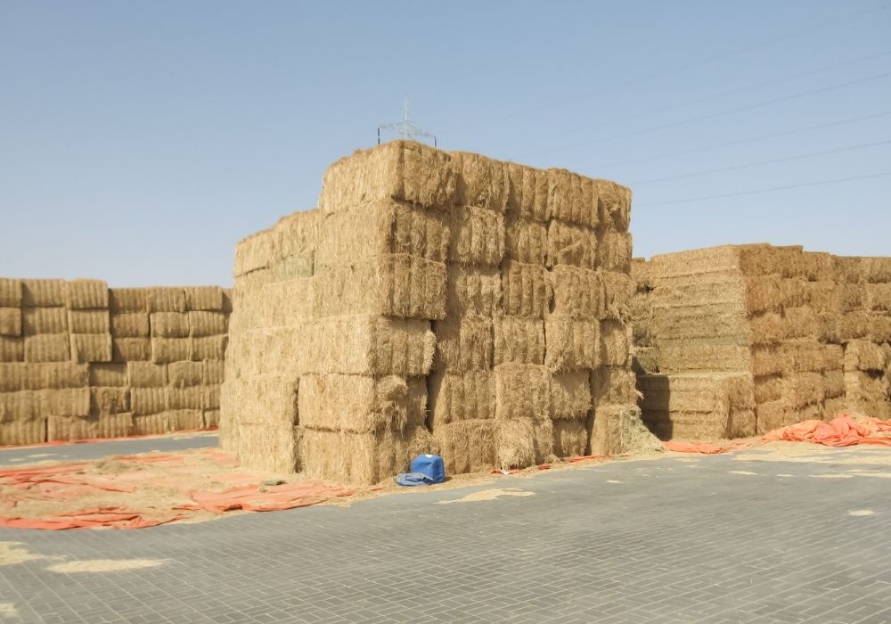 straw bales