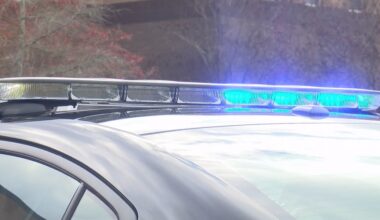 Dogs ‘taken down’ after attacking juvenile on Kentucky soccer field, charges pending against 2 people