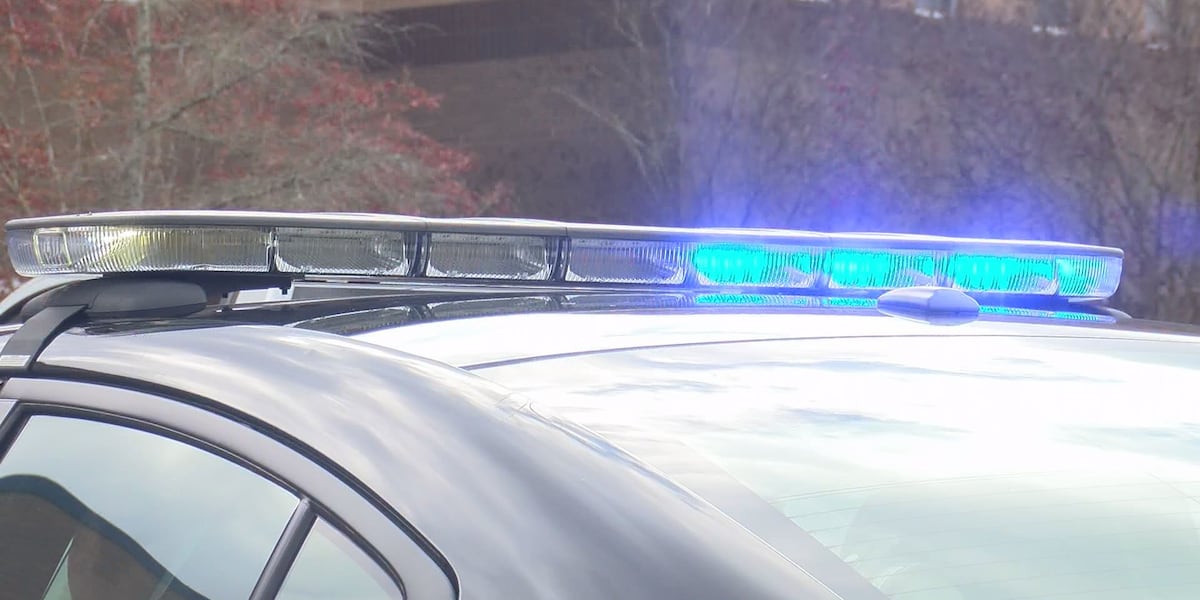 Dogs ‘taken down’ after attacking juvenile on Kentucky soccer field, charges pending against 2 people