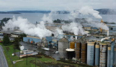 Crofton Mill workers' union calls on B.C. to reinstate $75,000 retirement bridging fund