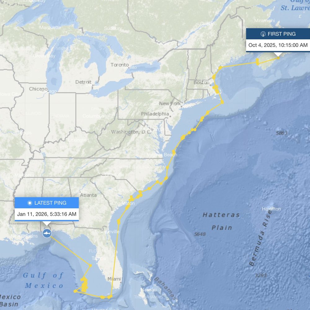 SHARK TRACKER Alabama News
