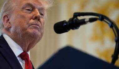 Former foreign affairs minister warns Canada could be next in tariff dispute over Greenland - CTV News