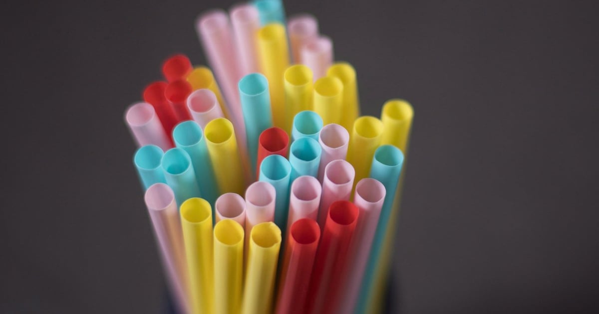 Court of Appeal rules decision underlying feds plastic ban ‘reasonable’ - CTV News