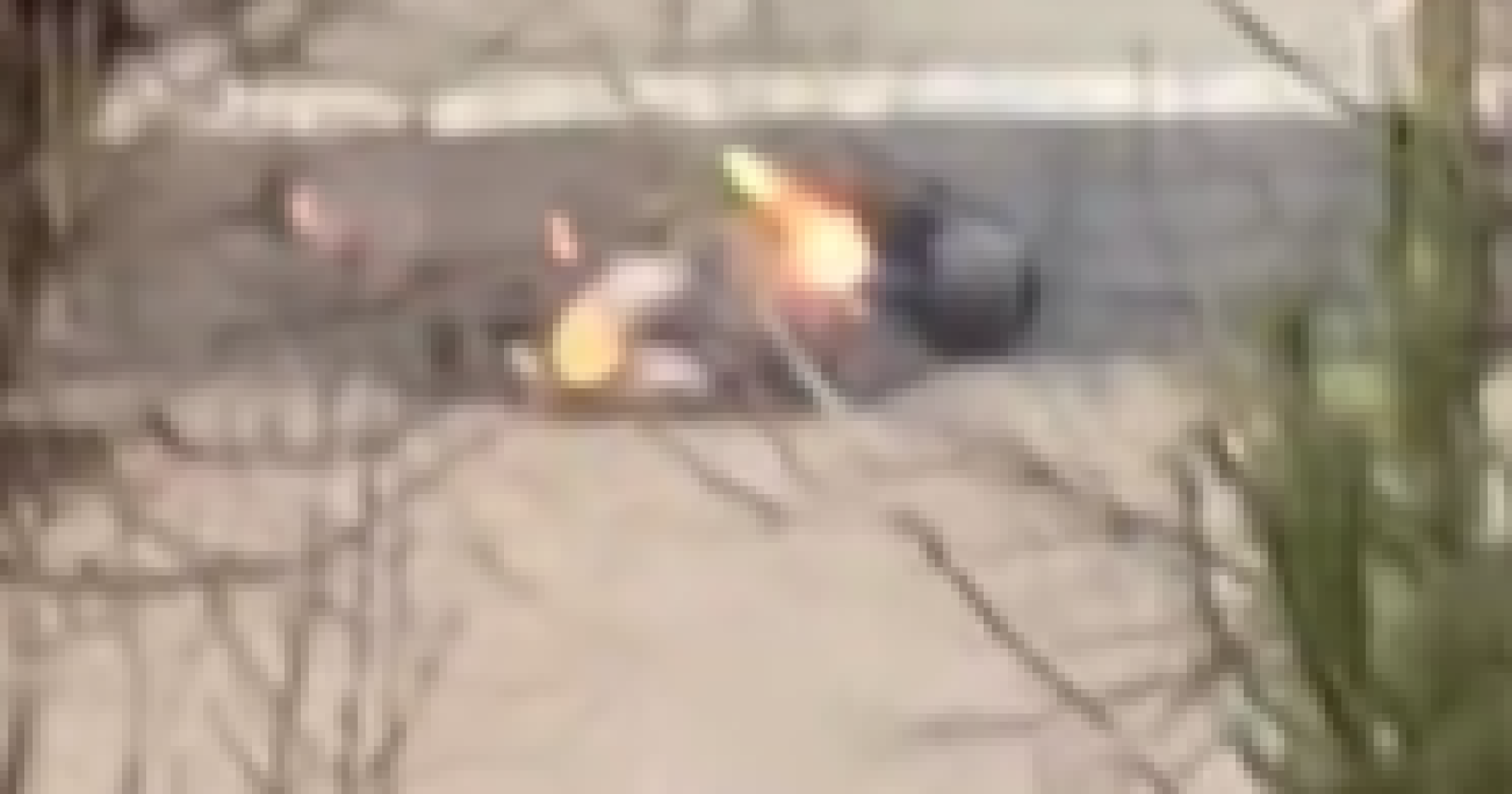 Isack Hadjar crashes as Max Verstappen triggers early Day 2 red flag – RacingNews365 Review