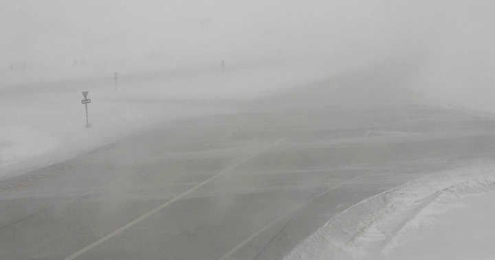RCMP closes part of Trans-Canada Highway as winter conditions worsen - Winnipeg