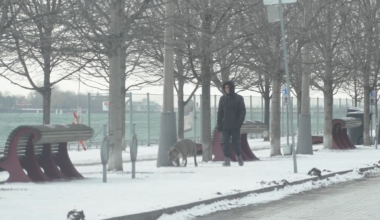 Ontario braces for coldest air in a decade