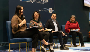 Inuit need greater say in ship routing, preparedness: Panelists