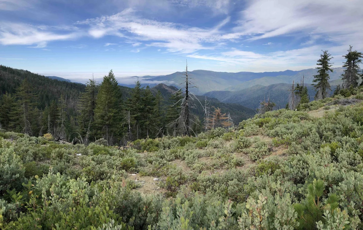 Six Rivers study area