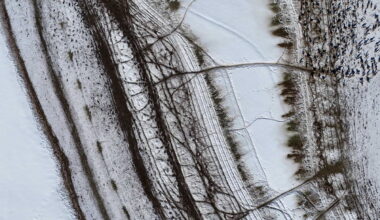 Sue to Close Elk Feedgrounds and Protect the Public Trust in Wildlife – The Wildlife News