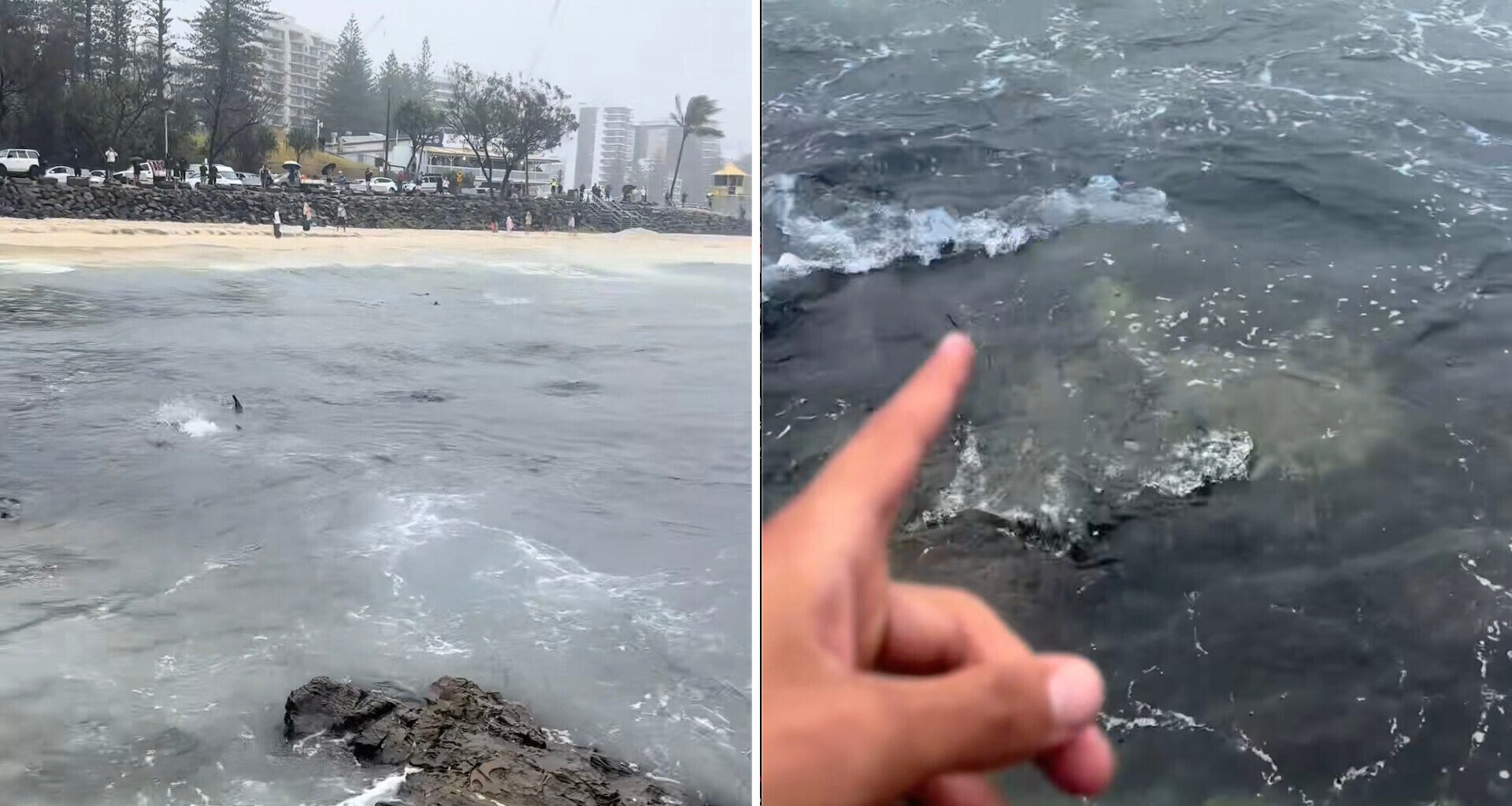 Surfer Kauê captured the wild moment on camera and posted it to TikTok.