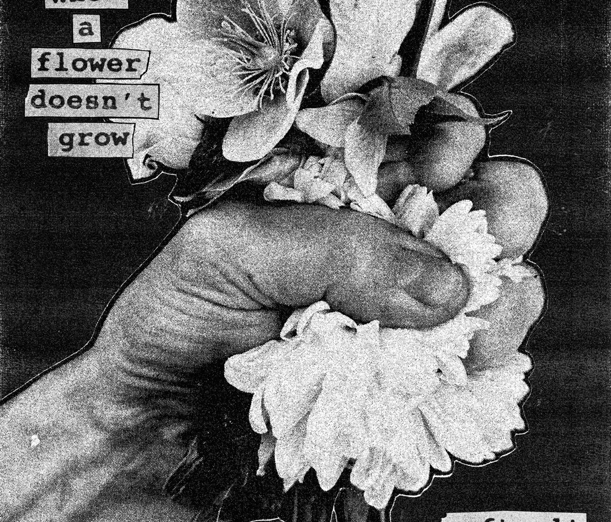 Albums Of The Week: Softcult | When A Flower Doesn't Grow