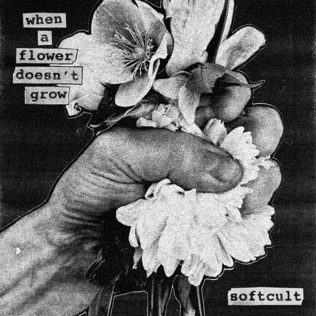Softcult | When A Flower Doesn't Grow