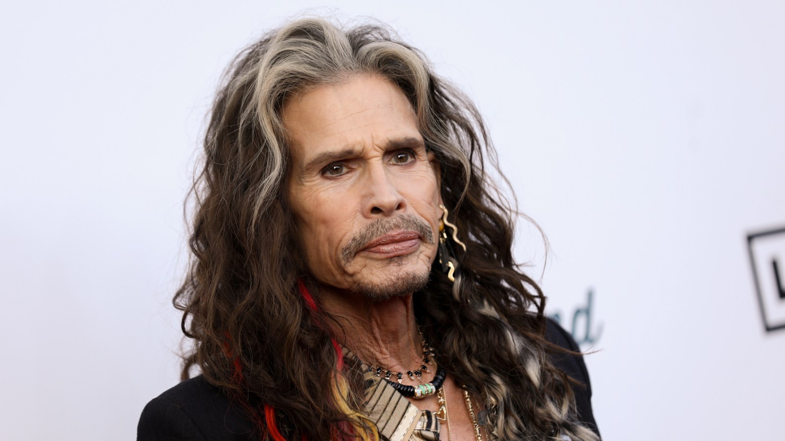 Steven Tyler Accuser to Proceed With California Sex Abuse Claims