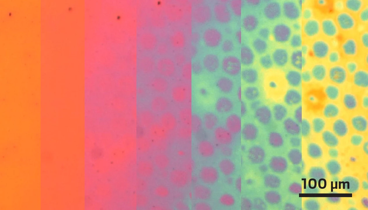 Polymer film changes texture and color on demand